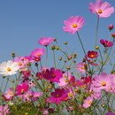 성림효사랑 실버타운 이미지