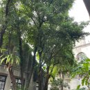 1914 | 타이베이 가볼 만한 곳 화산 1914 : 입장료, 영업시간, 소품샵 투어 후기