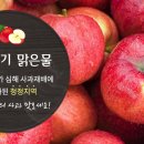 얼음골사과 천황산농원