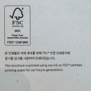 페트로 동물병원 | [부산 전시회] 현대 모터스튜디오 부산 &lt;플라스틱:새로운 발견&gt; 전시 &amp; 체험 후기✨