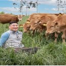 한우다움 이미지