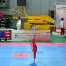 경희대안화태권도장 이미지