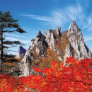 광제당한의원 이미지