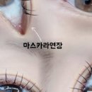 샤인뷰티 - 광산구 첨단중앙로182번길 90 | 샤인뷰티