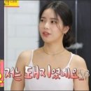 33돼지야 이미지