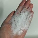 모닝듀 | 탬버린즈 바디워시 얼리모닝듀 향, 솔직후기