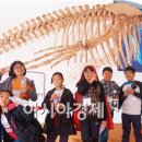 광산구-112 이미지