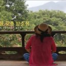 대백관 | 김천 방초정