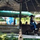 대불주거2로 이미지