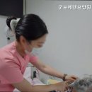 유영타운 | 당정동요양원 군포에덴요양원 신뢰할 수 있는 요양원