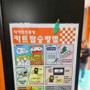 더카트인 통영 | 온 가족이 즐기는 더카트인통영 솔직후기(주차, 할인 등)
