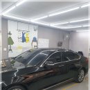 덴트리페어