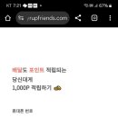 당신대게 이미지