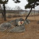 여기서 이쁘게 미용하개 이미지