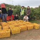 글로벌제주문화협동조합 이미지