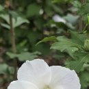 송파대로 이미지