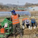 보은군농업기술센터 농기계임대사업소 이미지