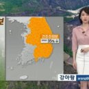 kbs날씨 강아랑님 사진모음❤ 이미지