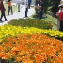 장미모텔 이미지