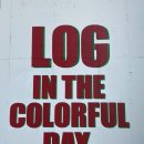 창성(애견) 이미지