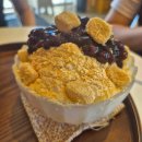 강남 박사 체육관 이미지