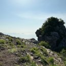 대항식당 이미지