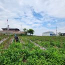 서수농장 이미지