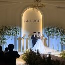 청경 | 홀 신조오사사게오 신랑입장 지각 하객 후기 주차 뷔페 💙 청경이랑 / 8810 커피컴퍼니 / 케이탑건...