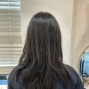 강남-282 | 강남미용실 긴머리 손상모 이노시스 클리닉 후기