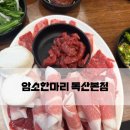 암소한마리 독산본점 | [암소한마리 독산본점] 내돈내산 다양한 소내장 맛볼 수 있는 맛집 !!!!