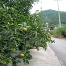 장선경로당 이미지