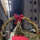 테크노 | [내돈내산] 청주 크리스마스 트리 맛집 단토리 송절테크노점 리얼 후기