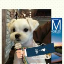 포포앤미루 강동점 이미지