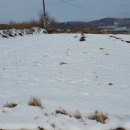 주덕읍사무소 이미지