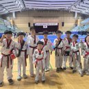 용인대명인태권도장 네이버블로그