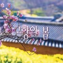 고향의봄