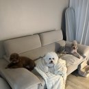 다감약국 이미지