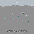 페트리코 이미지