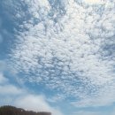 고대1103 이미지