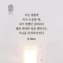 12월3일 청라국제도시역 푸르지오시티 이미지