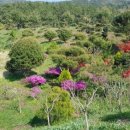 구룡리농장 이미지