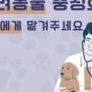 다가온 동물병원 이미지