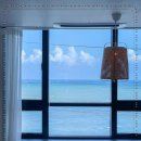 빌라드화이트 이미지