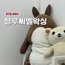 씨엘블루 | 동탄 브라질리언 왁싱 잘하는 곳, 블루씨엘왁싱 내돈내산 후기 (+전후사진)