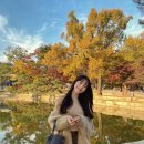 종로-신교-종로-신-153 | 종로 데이트 코스 추천/IDA 서순라길 맛집/ 솔직후기♥️