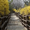 꼼지락공원 이미지