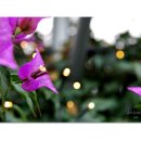 참샘 농원 이미지