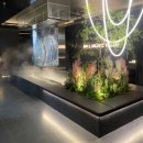 렌즈타운 울산삼산점 | 울산 달동 룸술집 메인 볼 노래타운 삼산시티점 주말 이용료 웨이팅 후기