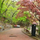 강천산군립공원(구장군폭포) 이미지