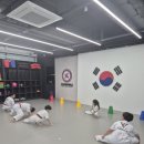 한국체대수태권도장